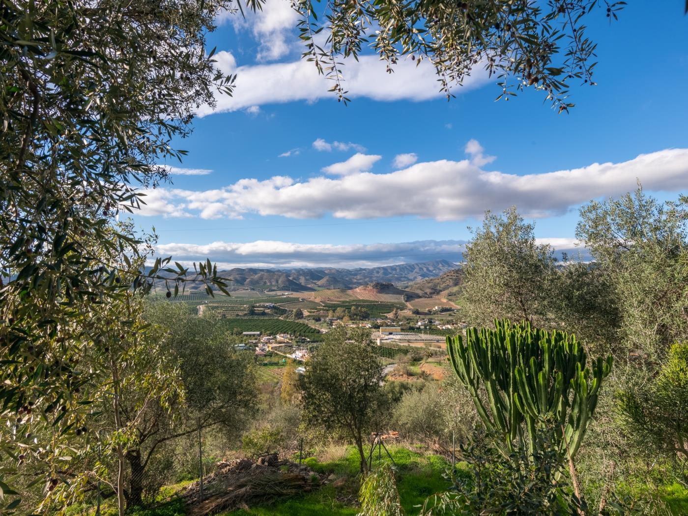 image Luxury Rural Villa & Pool by ELE Apartments 38
