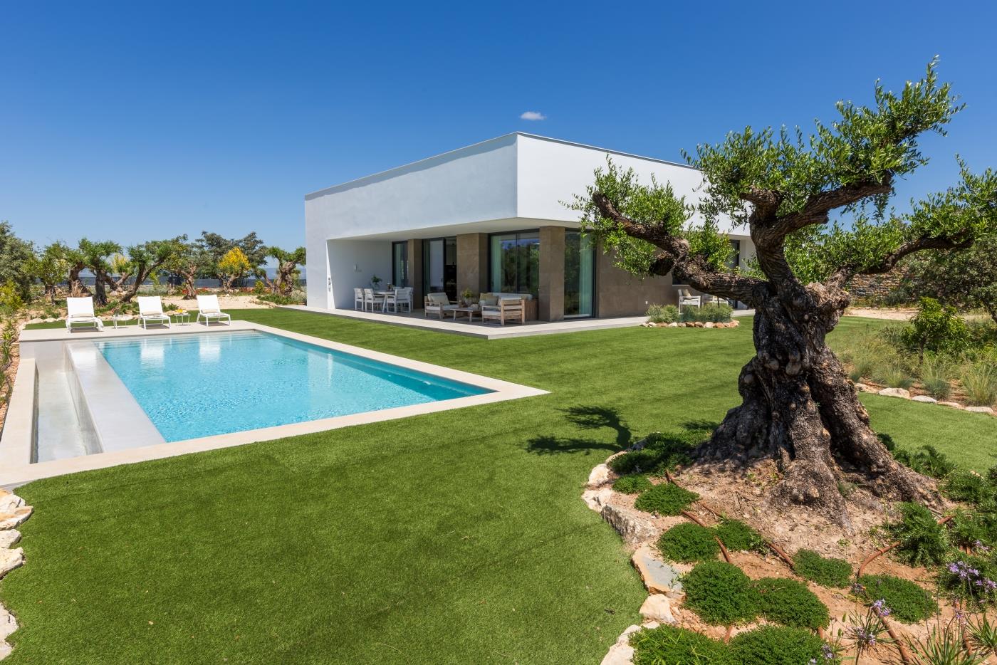¿Por qué Málaga sigue siendo uno de los mercados inmobiliarios con mayor proyección de Europa?